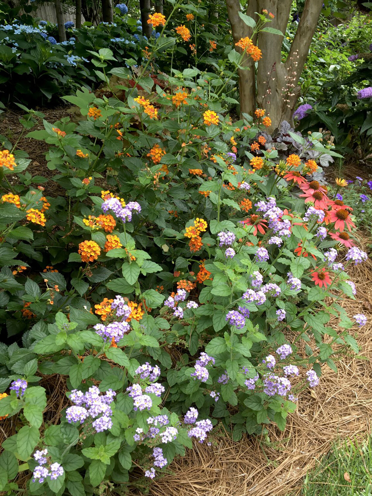 LIFE-HOME-ONGARDENING-4-MCT